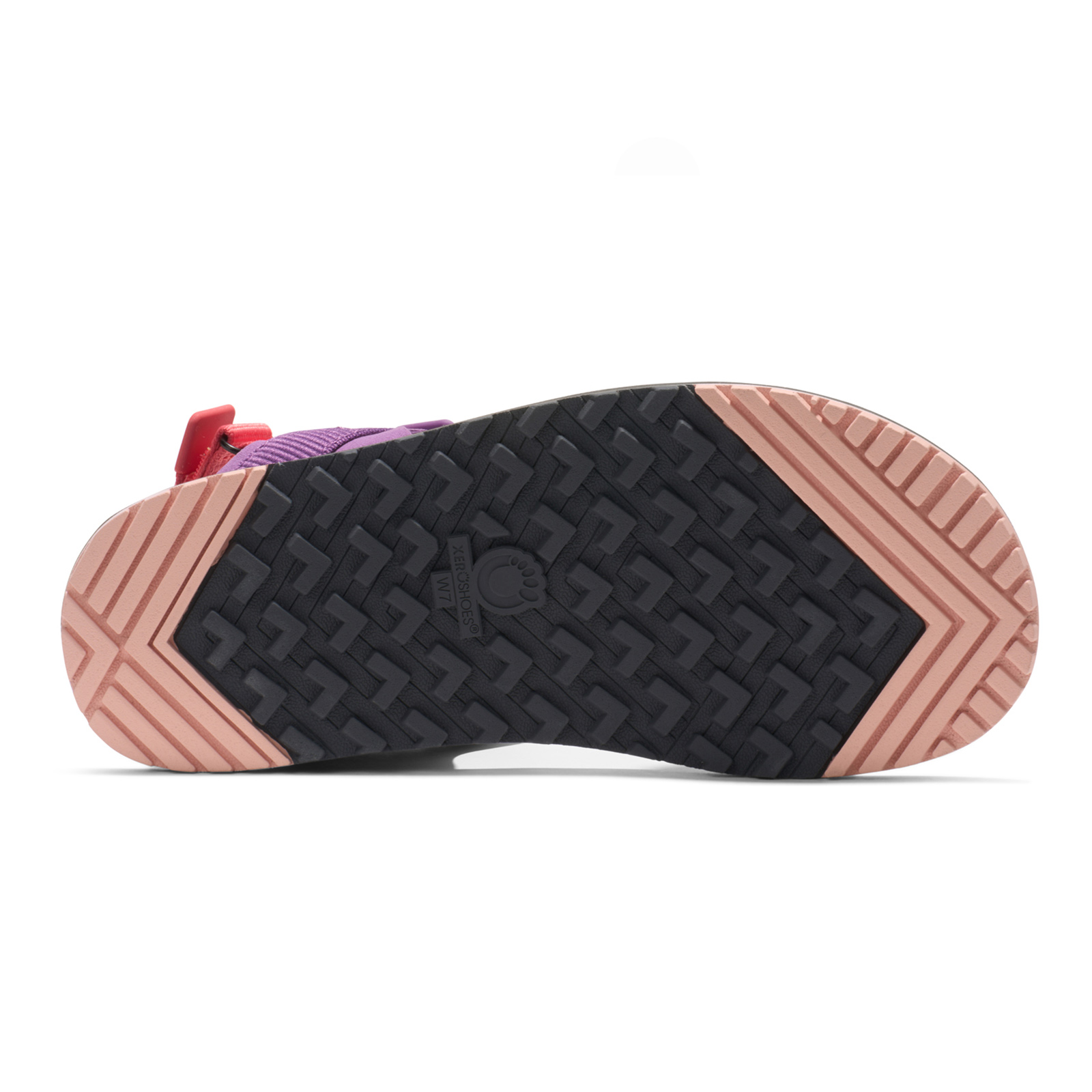Sandale Barefoot Xero, D-Trail – Trail-to-Town, Dewberry Multi, W 1