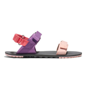 Sandale Barefoot Xero, D-Trail – Trail-to-Town, Dewberry Multi, W